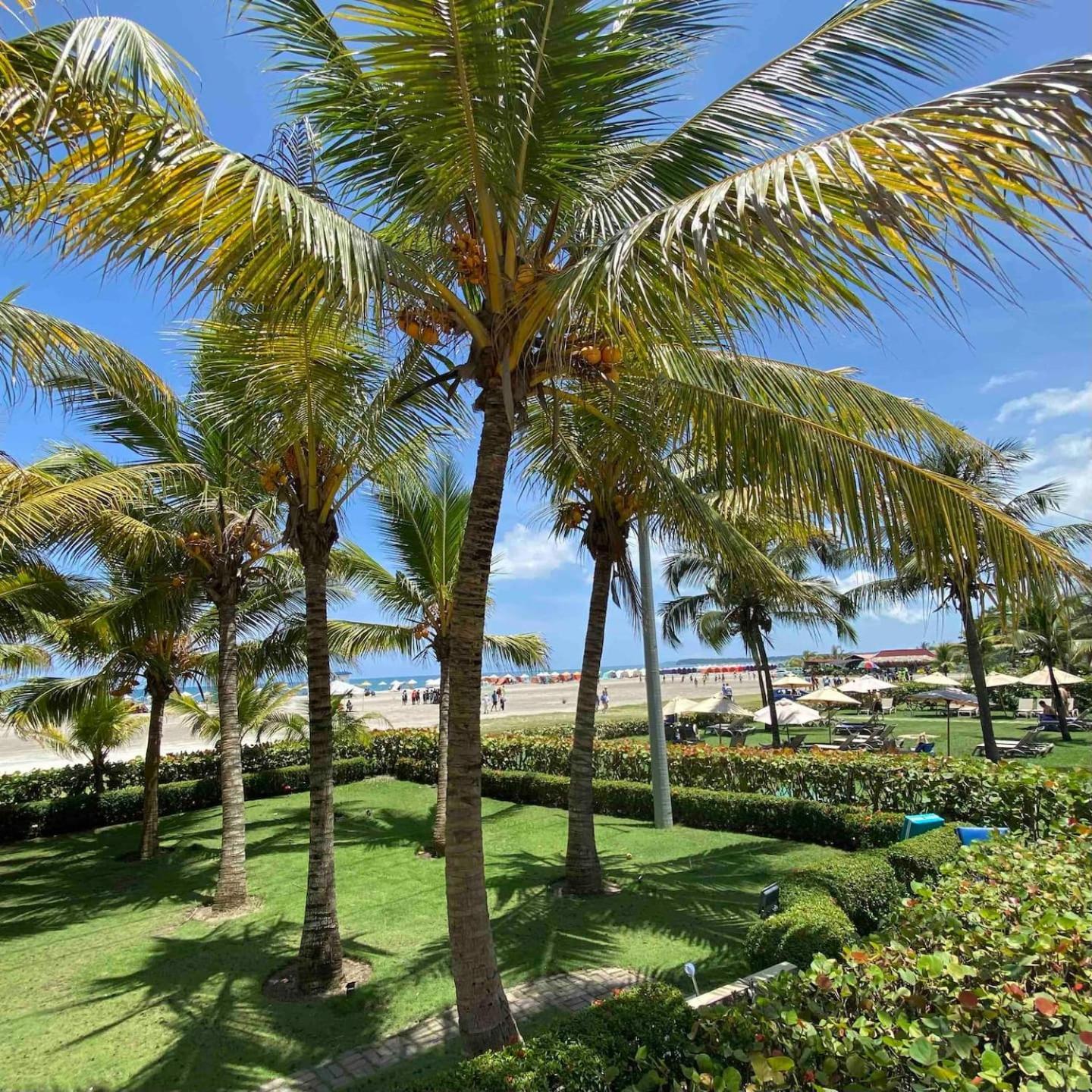 2br Luxury Beachfront With Direct Access * Cartagena